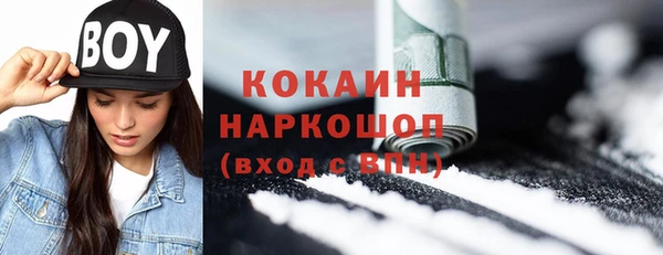 гашик Богородицк