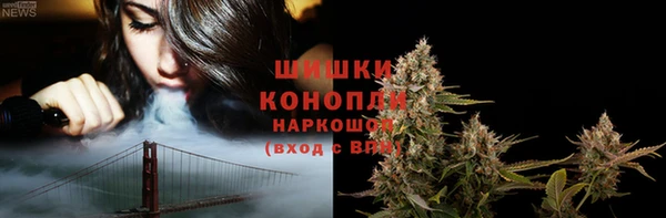амф Богородск